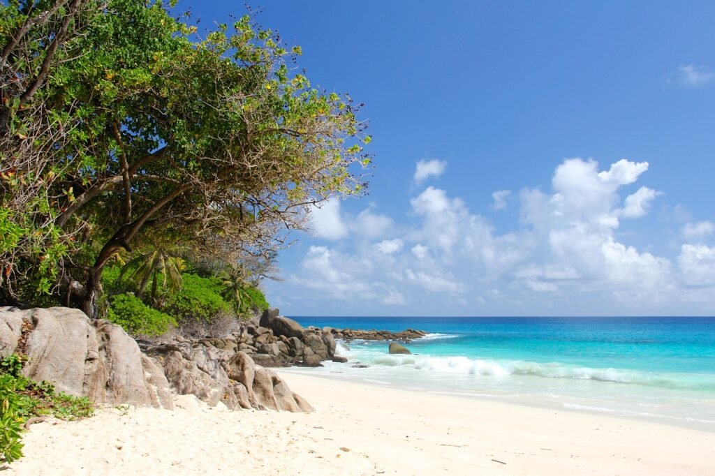 seychelles, beach, dream beach, nature, indian ocean, travel, palm trees, sea, tropical, island, vacations, sand, caribbean